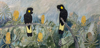 Autumn Black Cockatoos #5