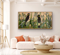 Black Cockatoos at Golden Hour #3