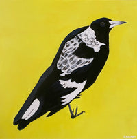 Magpie #3