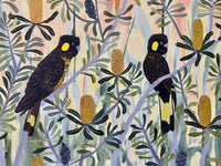 Black Cockatoos at Dusk #6