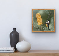 Honeyeater and Banksia #2