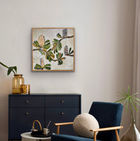 Banksia Blooms #12 - Commission