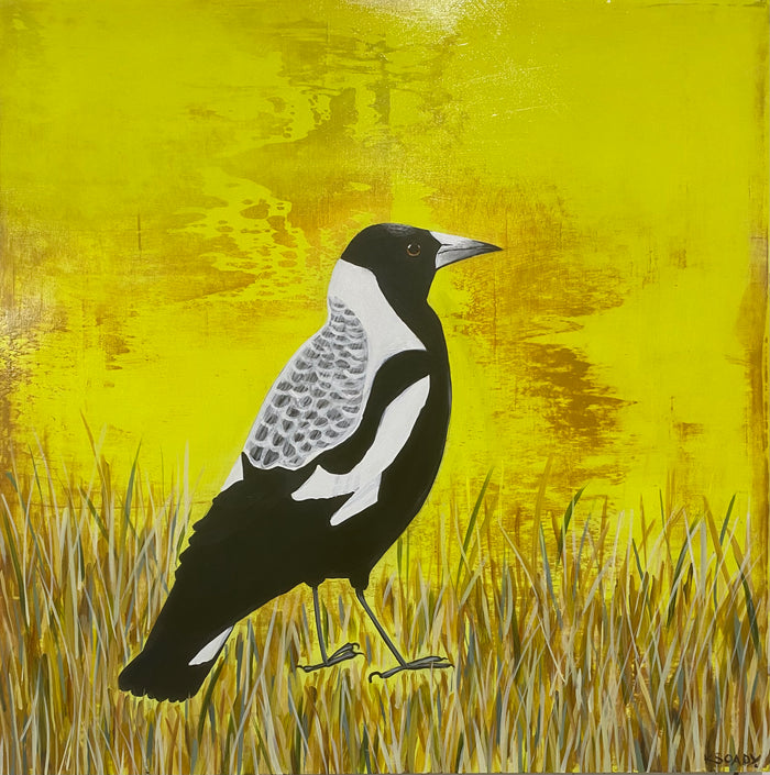 Magpie in the Grass