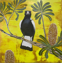 Magpie and Banksia