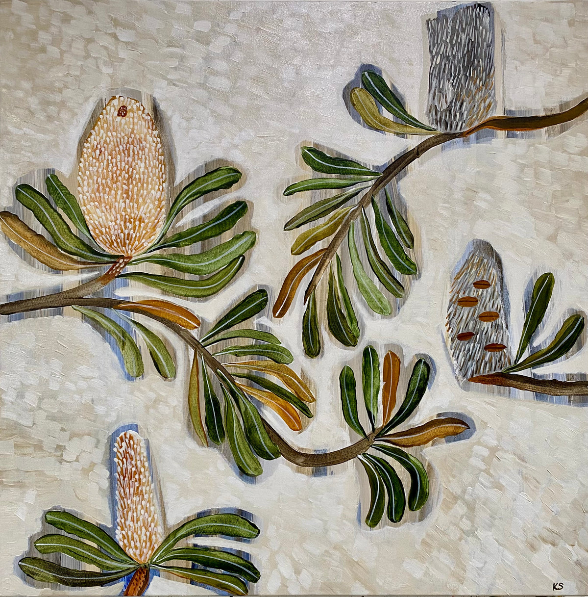 Banksia Blooms #12 - Commission
