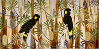 Black Cockatoos in the Banksia