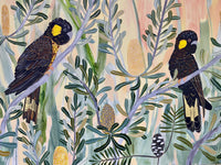 Autumn Black Cockatoos #2