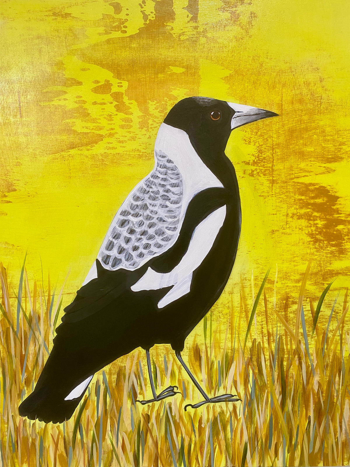 Magpie in the Grass