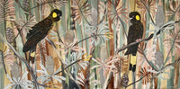 Autumn Black Cockatoos