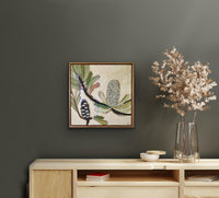 Banksia Blooms #11