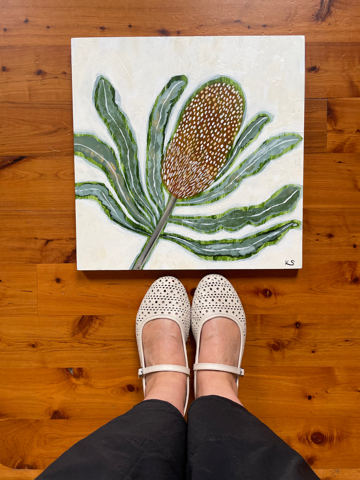 Banksia Blooms #16