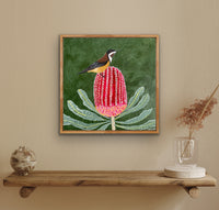 Honeyeater and Banksia