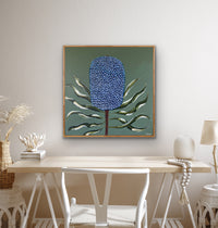 Blue Banksia
