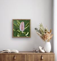 Banksia Robur #5