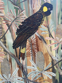 Autumn Black Cockatoos