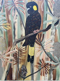 Autumn Black Cockatoos
