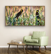 Golden Hour and Black Cockatoos