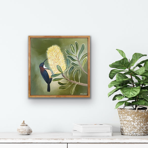 Honeyeater and Banksia #3