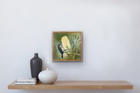 Honeyeater and Banksia #3