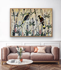 Black Cockatoos in the Natives