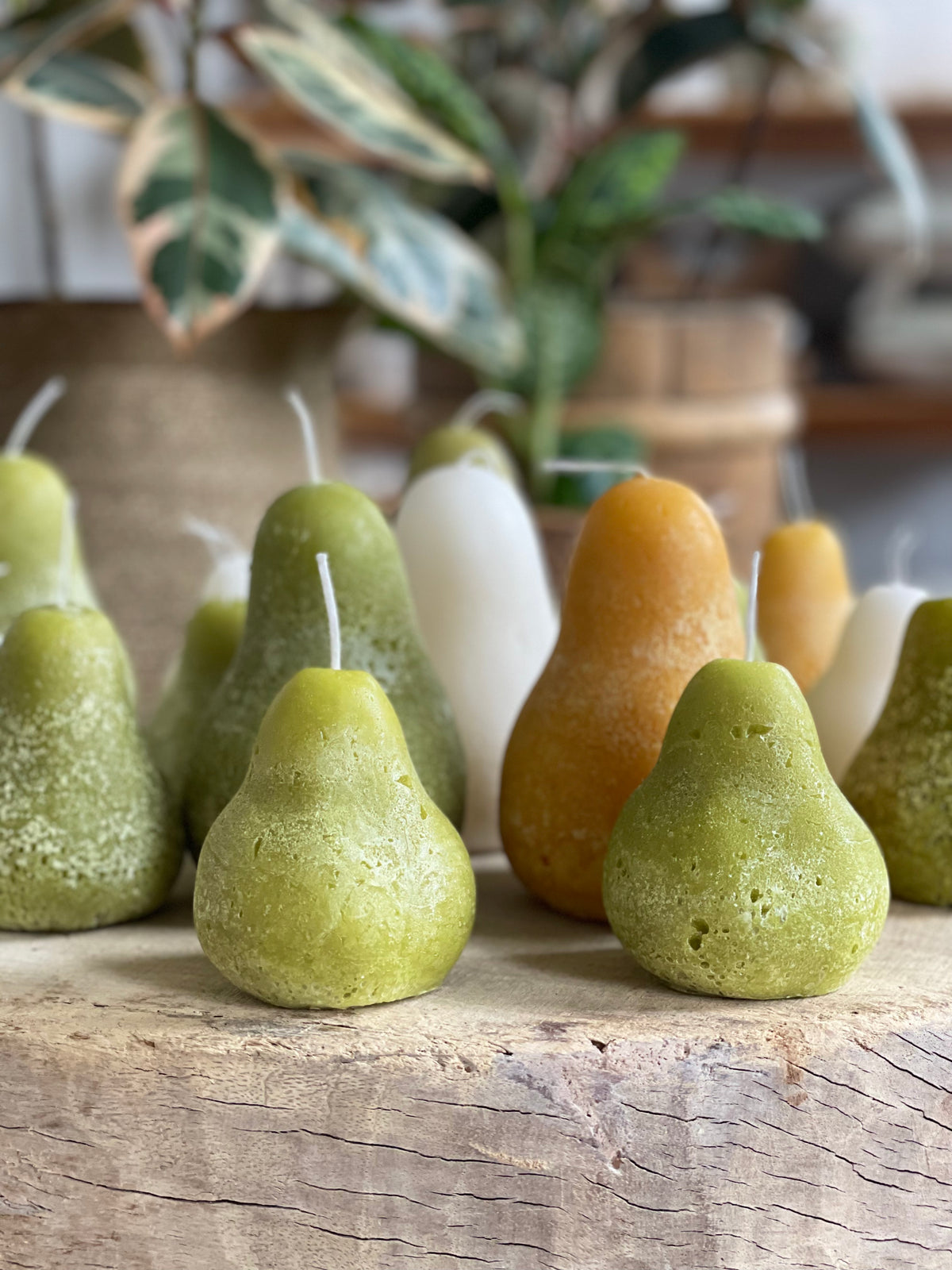 Pear Candle -Moss