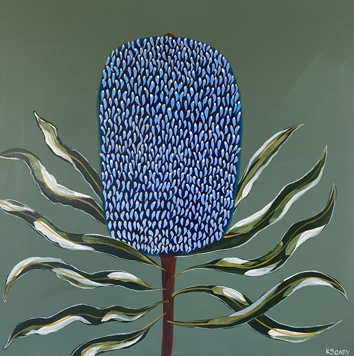 Blue Banksia