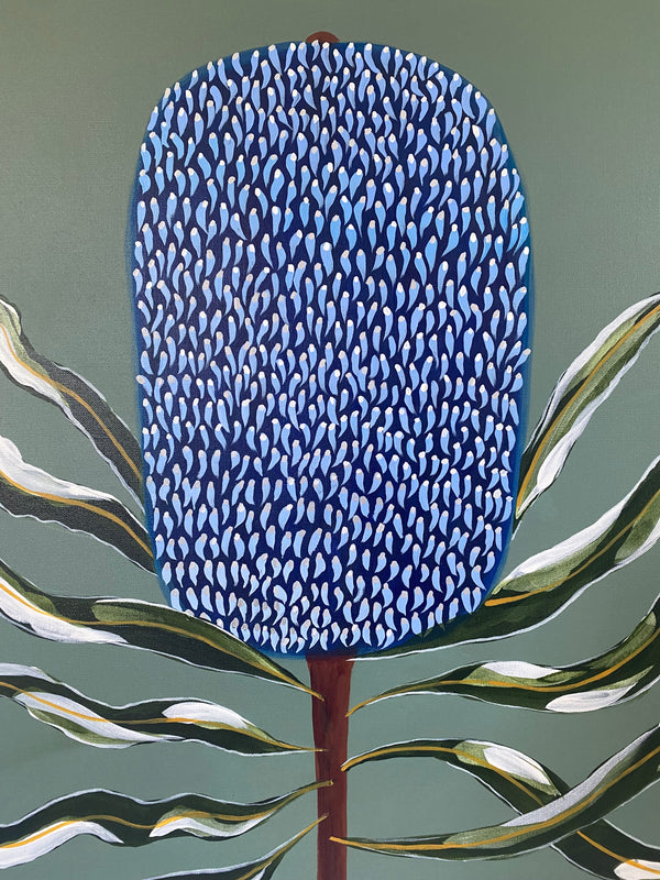 Blue Banksia