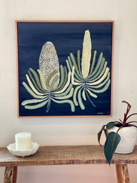 Evening Banksias