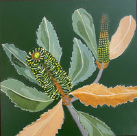 Lush Banksia #1