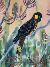 Golden Hour and Black Cockatoos