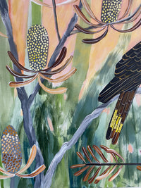 Golden Hour and Black Cockatoos