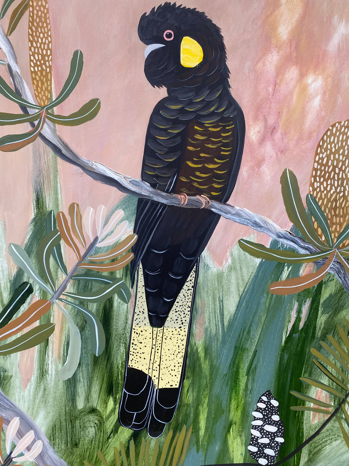Black Cockatoos at Golden Hour #2