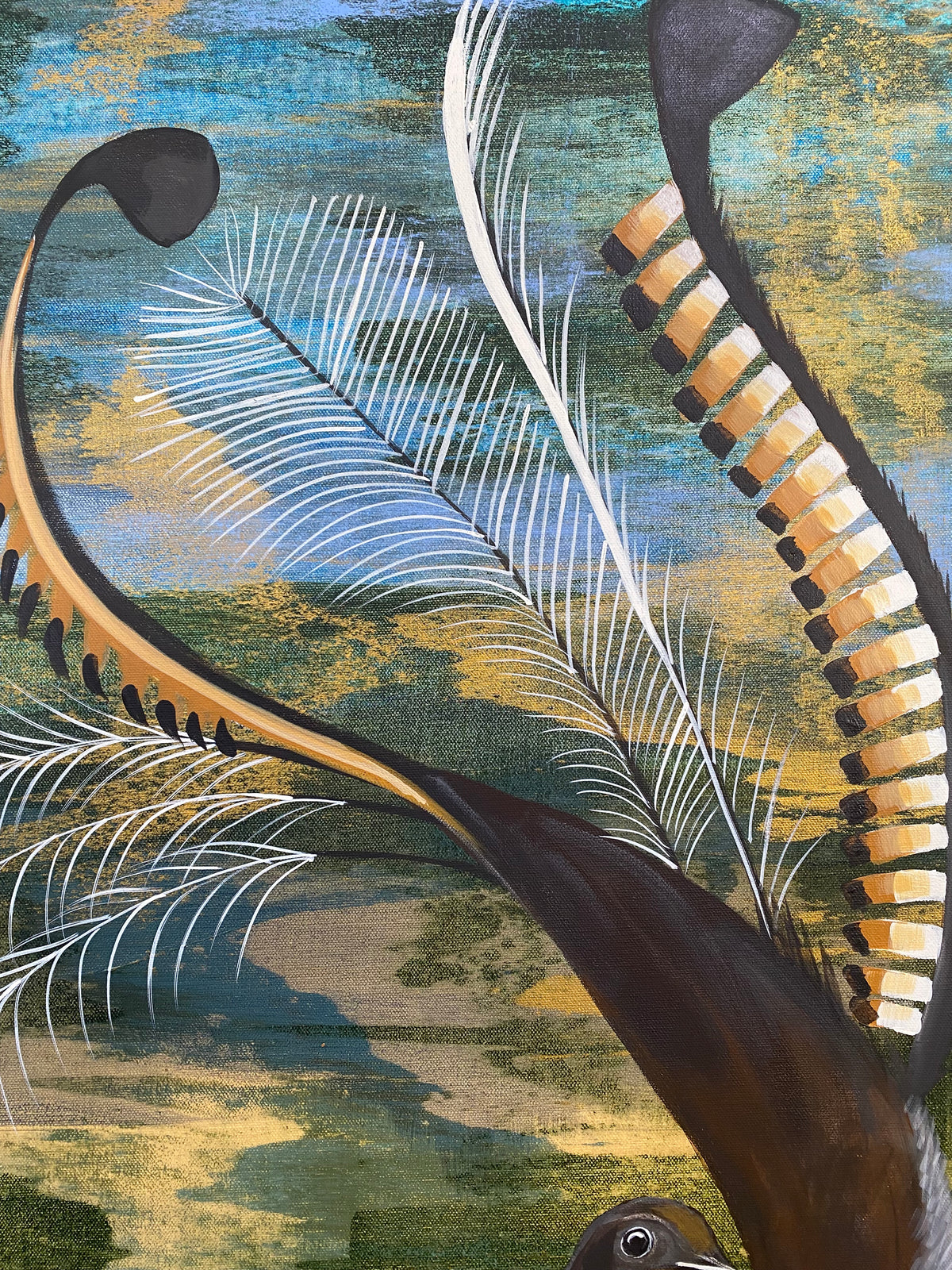 Lyrebird in the Banksia