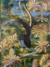 Lyrebird in the Banksia