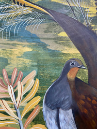 Lyrebird in the Banksia