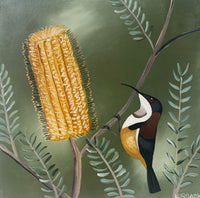 Honeyeater and Banksia #2