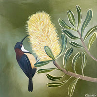 Honeyeater and Banksia #3