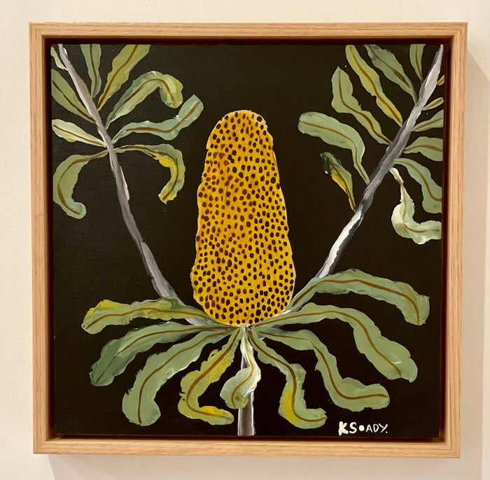 Evening Banksia #8
