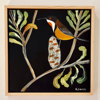 Pod and Eastern Spinebill #2