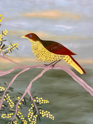 Acacia and the Bowerbird