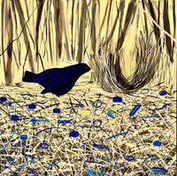 Kate Soady Art Cards