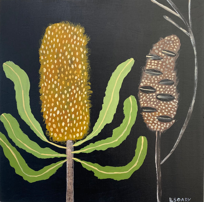 Midnight Banksia & Pod #1