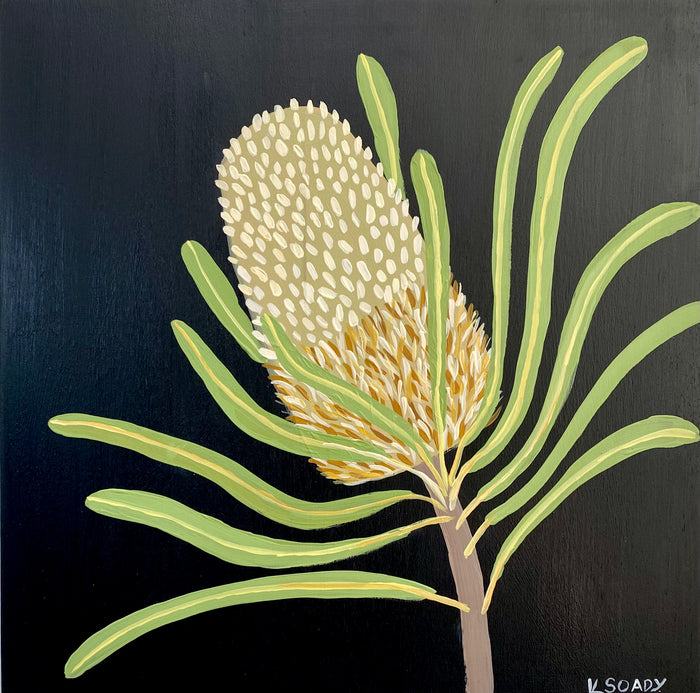Midnight Banksia #2
