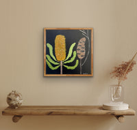 Midnight Banksia & Pod #1