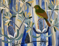 Bowerbird and Banksia