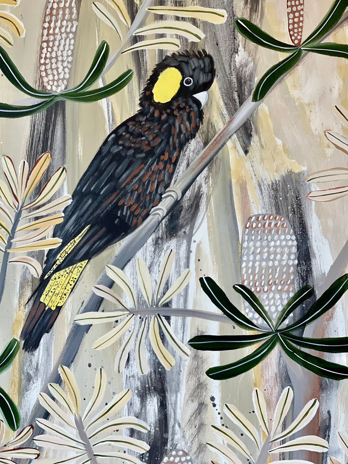Black Cockatoos in the Natives