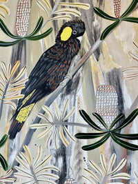 Black Cockatoos in the Natives
