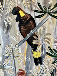 Black Cockatoos in the Natives