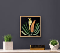 Yellow Tufted Honeyeater