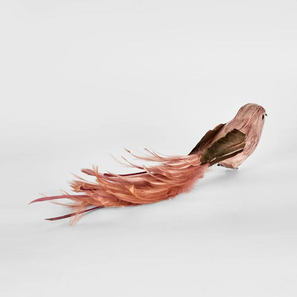 Olsern Clip on Bird Pink